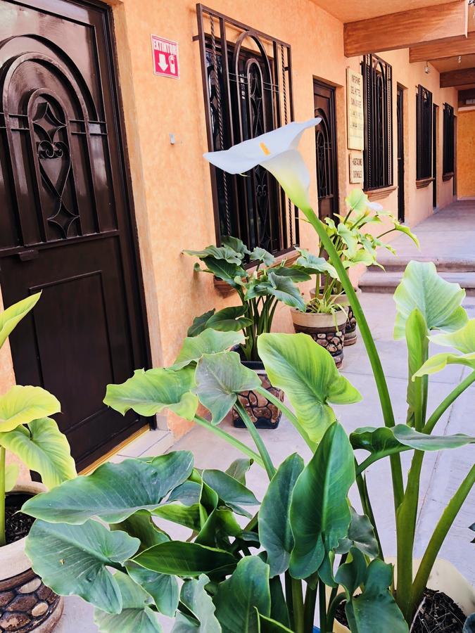 Hotel Posada San Jorge Берналь Экстерьер фото
